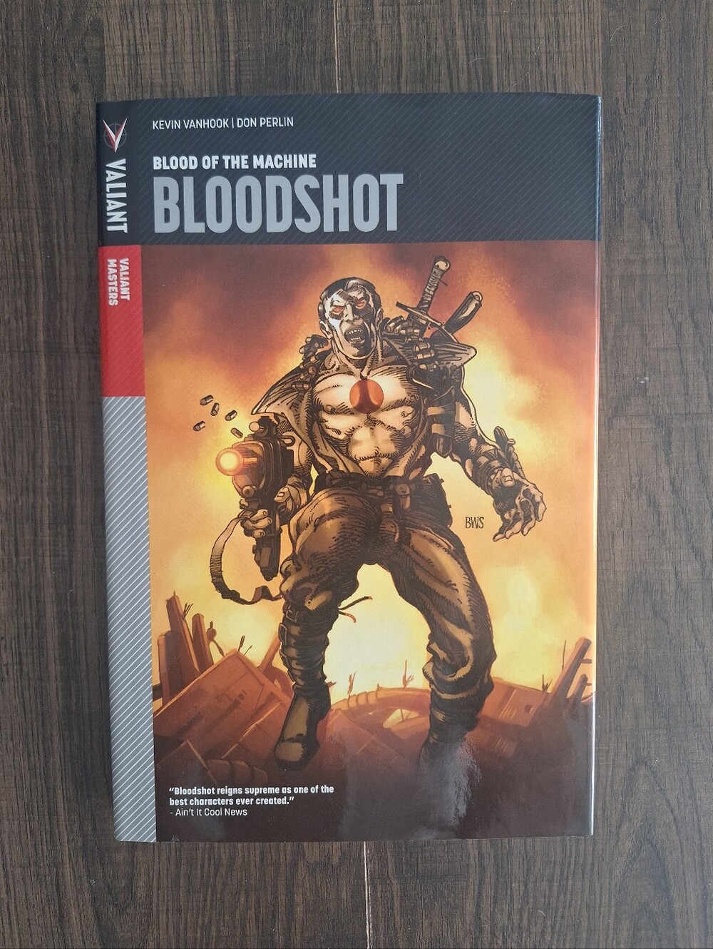 Valiant Masters: Bloodshot Volume 1 - Hardcover Kevin VanHook